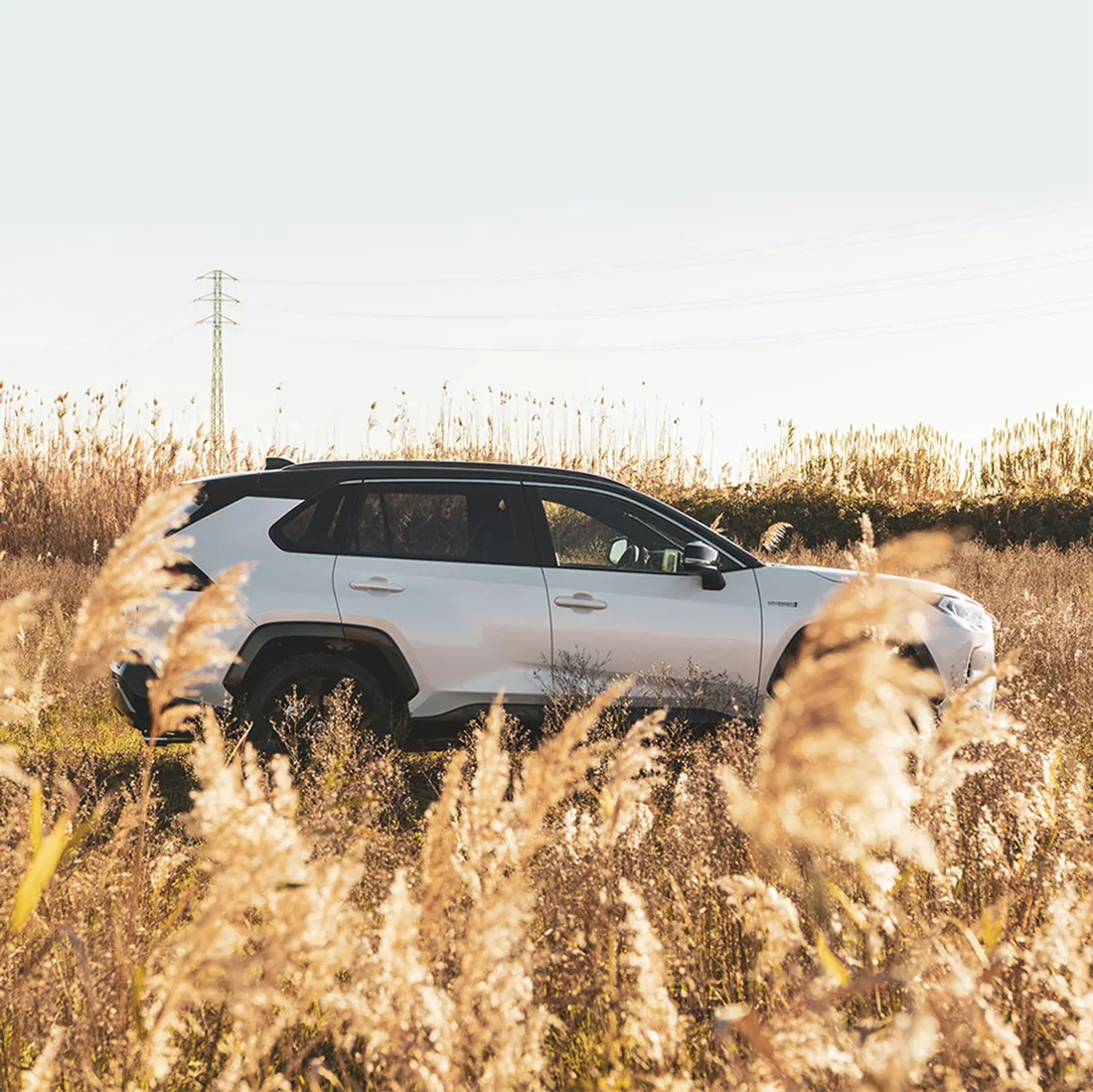 Toyota RAV4 — photograph 5 by bernd kammerer